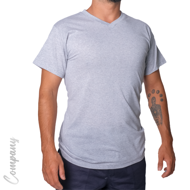 Baskılı V Yaka T-shirt Gri - Company